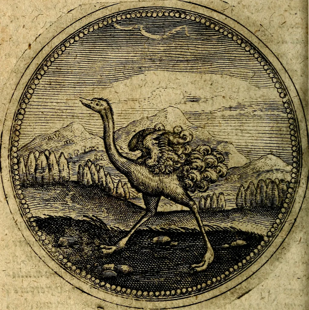 An illustration from Joachimi Camerarii Symbolorum et emblematum, centuriae quatuor .., 1668, leaf 451