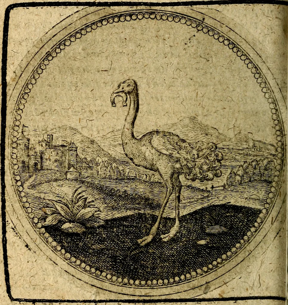 An illustration from Joachimi Camerarii Symbolorum et emblematum, centuriae quatuor .., 1668, leaf 455