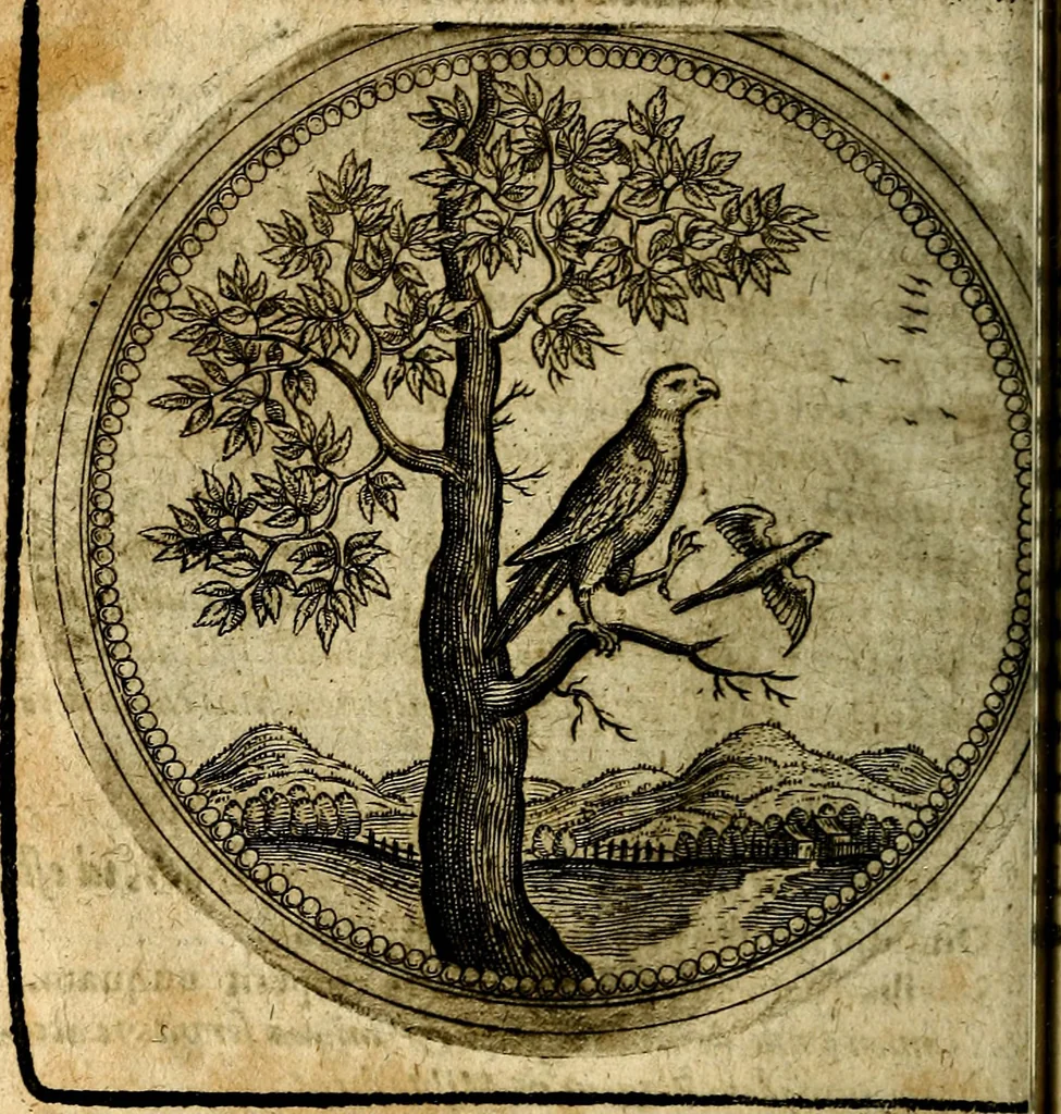 An illustration from Joachimi Camerarii Symbolorum et emblematum, centuriae quatuor .., 1668, leaf 477