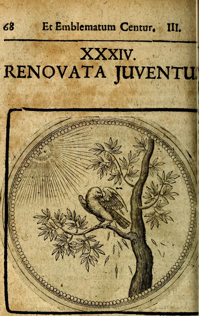 An illustration from Joachimi Camerarii Symbolorum et emblematum, centuriae quatuor .., 1668, leaf 485