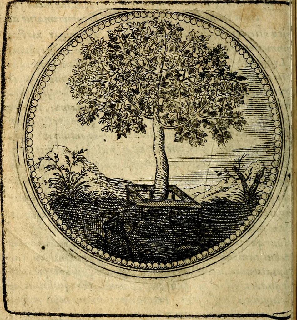 An illustration from Joachimi Camerarii Symbolorum et emblematum, centuriae quatuor .., 1668, leaf 49