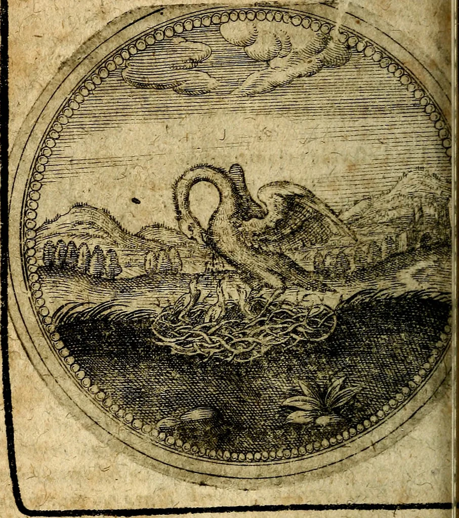 An illustration from Joachimi Camerarii Symbolorum et emblematum, centuriae quatuor .., 1668, leaf 491