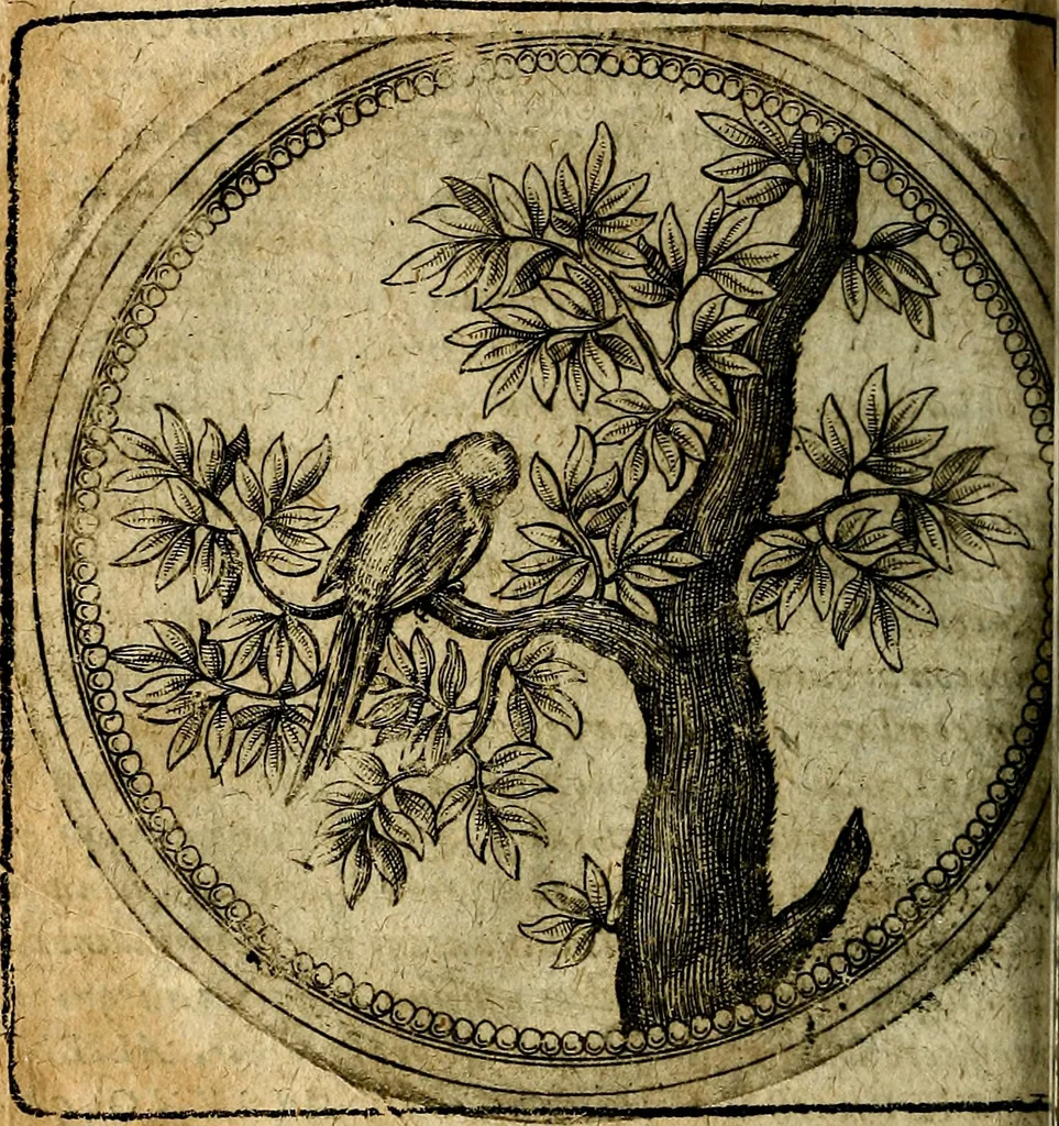 An illustration from Joachimi Camerarii Symbolorum et emblematum, centuriae quatuor .., 1668, leaf 509