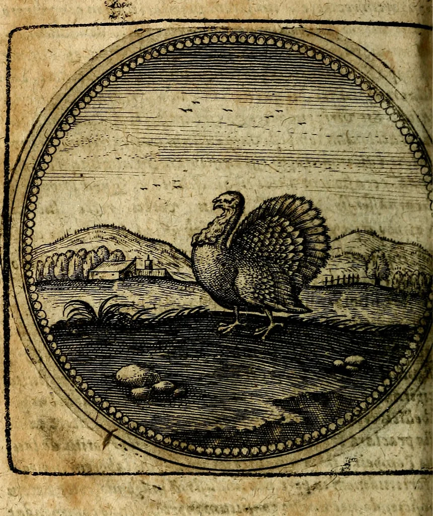 An illustration from Joachimi Camerarii Symbolorum et emblematum, centuriae quatuor .., 1668, leaf 511