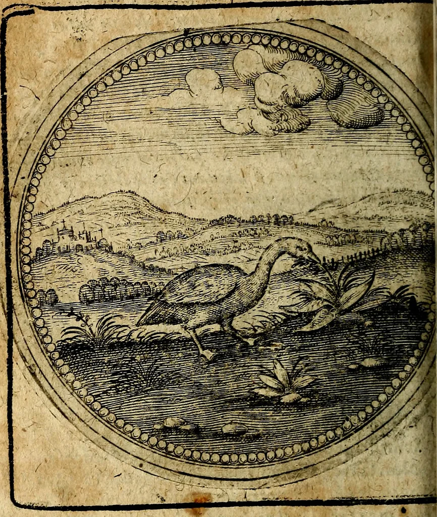An illustration from Joachimi Camerarii Symbolorum et emblematum, centuriae quatuor .., 1668, leaf 513