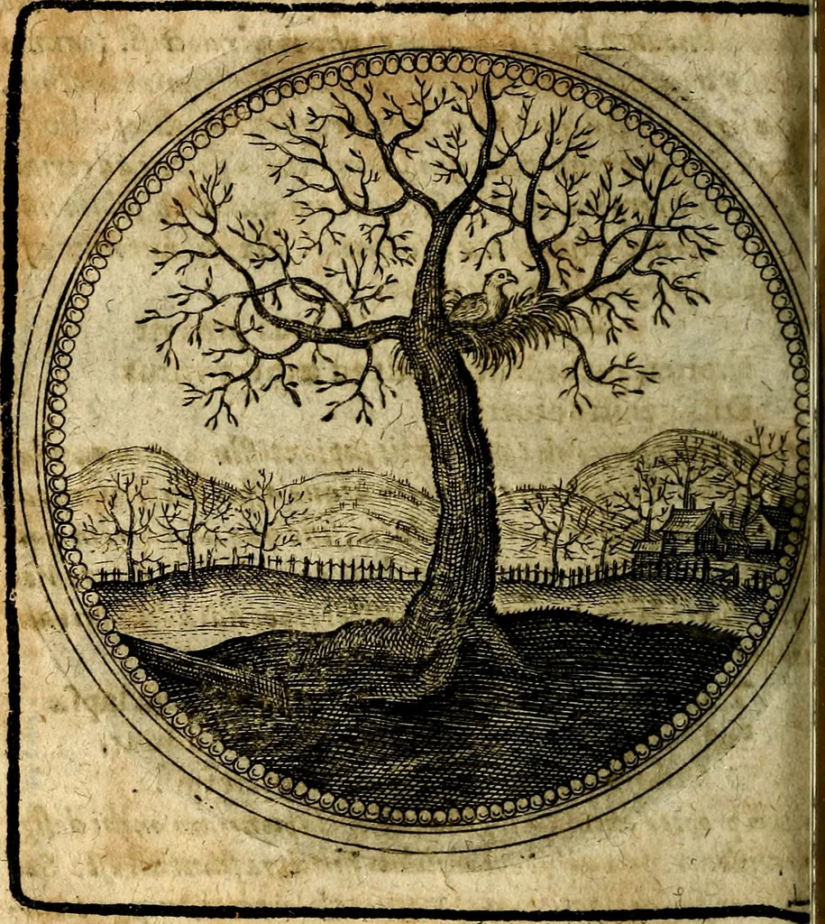An illustration from Joachimi Camerarii Symbolorum et emblematum, centuriae quatuor .., 1668, leaf 541