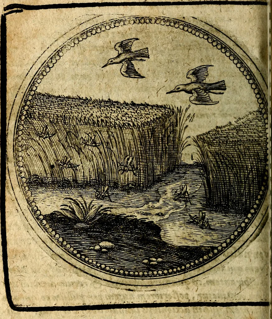 An illustration from Joachimi Camerarii Symbolorum et emblematum, centuriae quatuor .., 1668, leaf 549