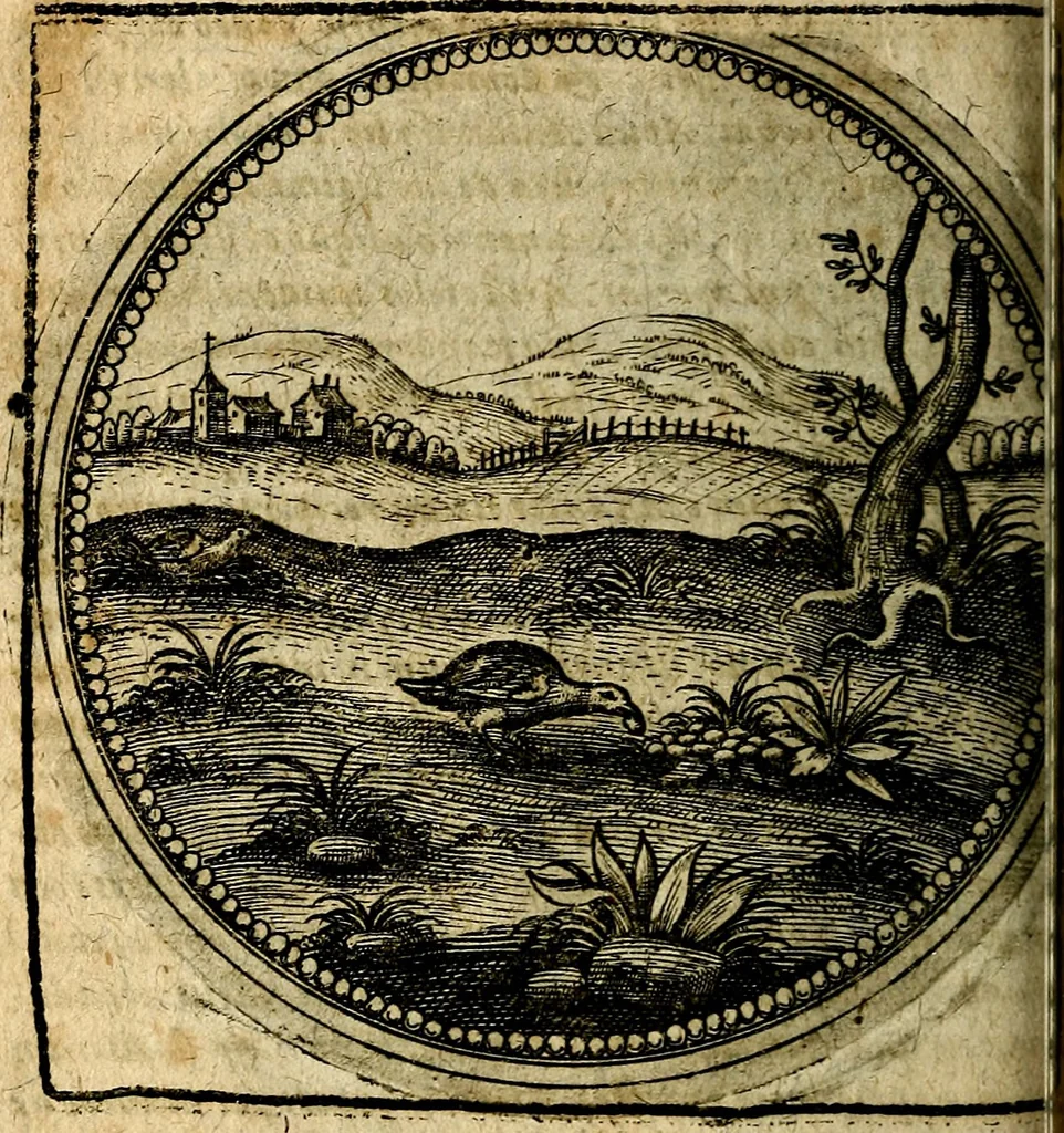 An illustration from Joachimi Camerarii Symbolorum et emblematum, centuriae quatuor .., 1668, leaf 553