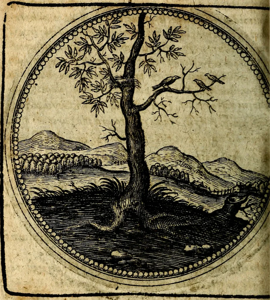 An illustration from Joachimi Camerarii Symbolorum et emblematum, centuriae quatuor .., 1668, leaf 557