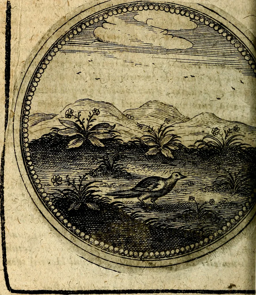 An illustration from Joachimi Camerarii Symbolorum et emblematum, centuriae quatuor .., 1668, leaf 559