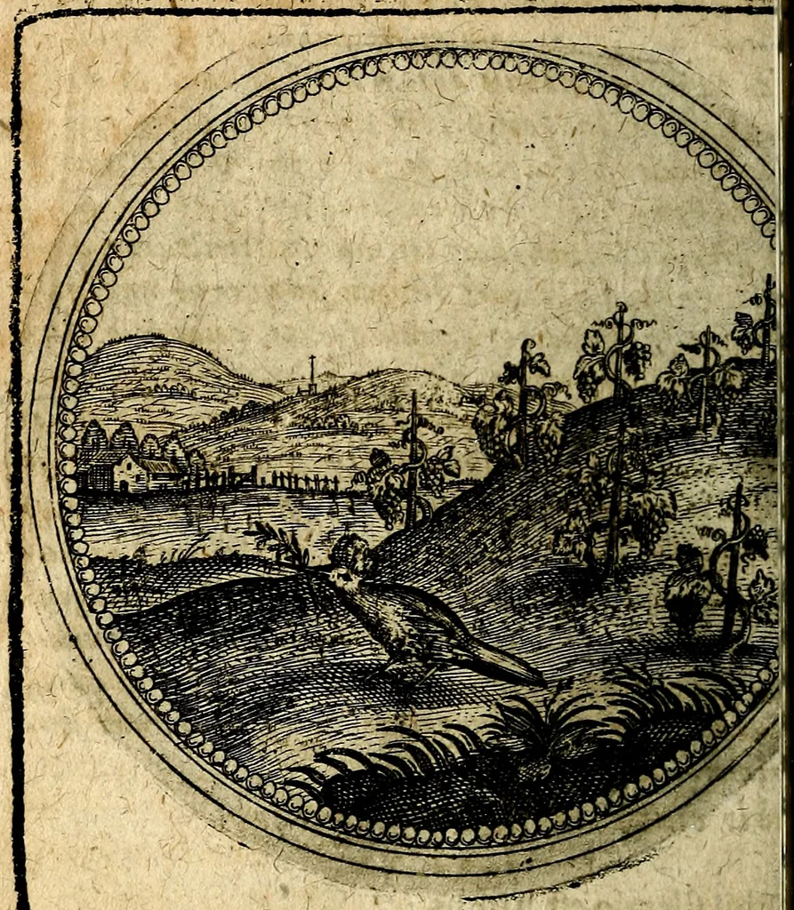 An illustration from Joachimi Camerarii Symbolorum et emblematum, centuriae quatuor .., 1668, leaf 561