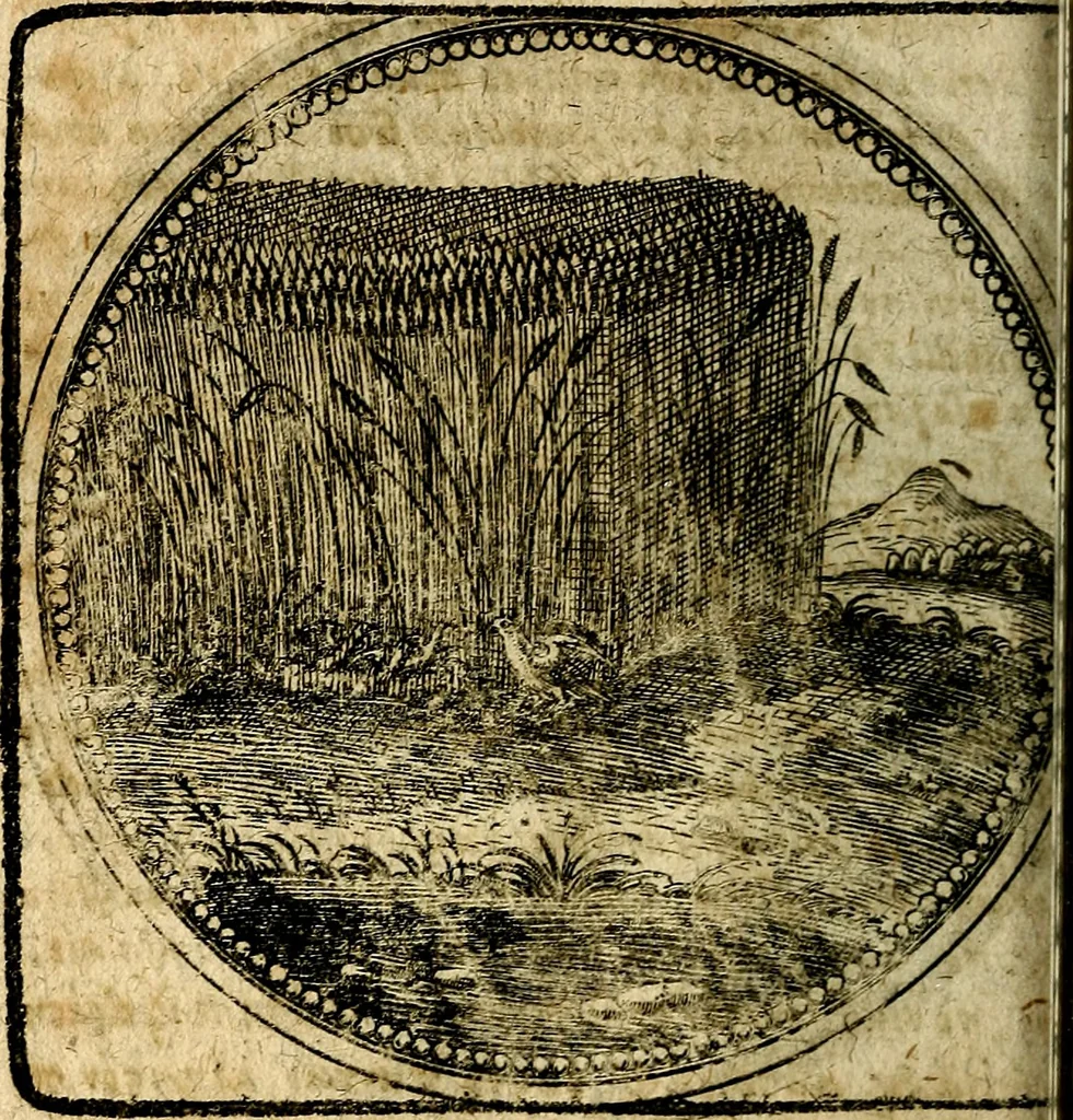 An illustration from Joachimi Camerarii Symbolorum et emblematum, centuriae quatuor .., 1668, leaf 563