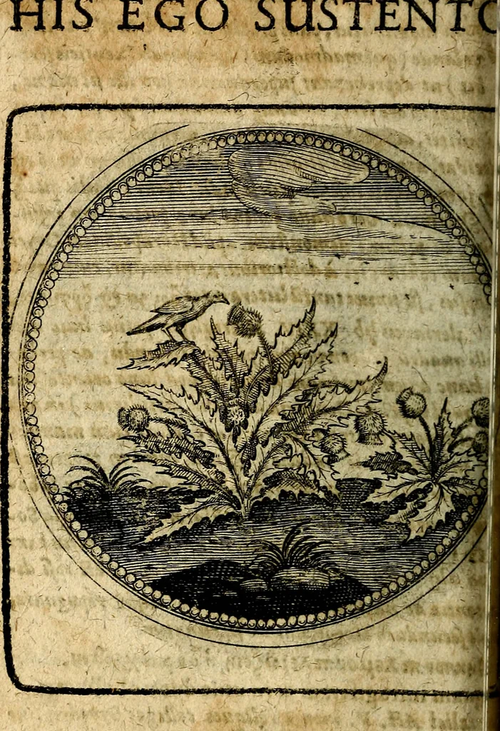 An illustration from Joachimi Camerarii Symbolorum et emblematum, centuriae quatuor .., 1668, leaf 567