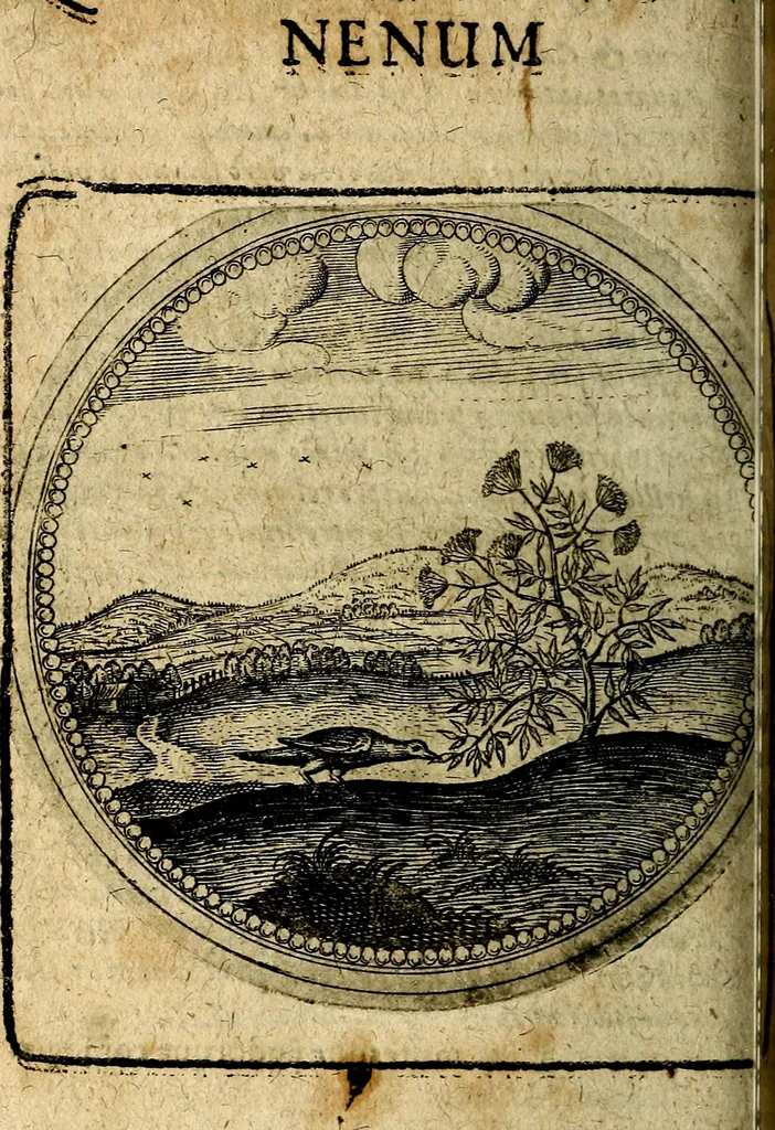 An illustration from Joachimi Camerarii Symbolorum et emblematum, centuriae quatuor .., 1668, leaf 569