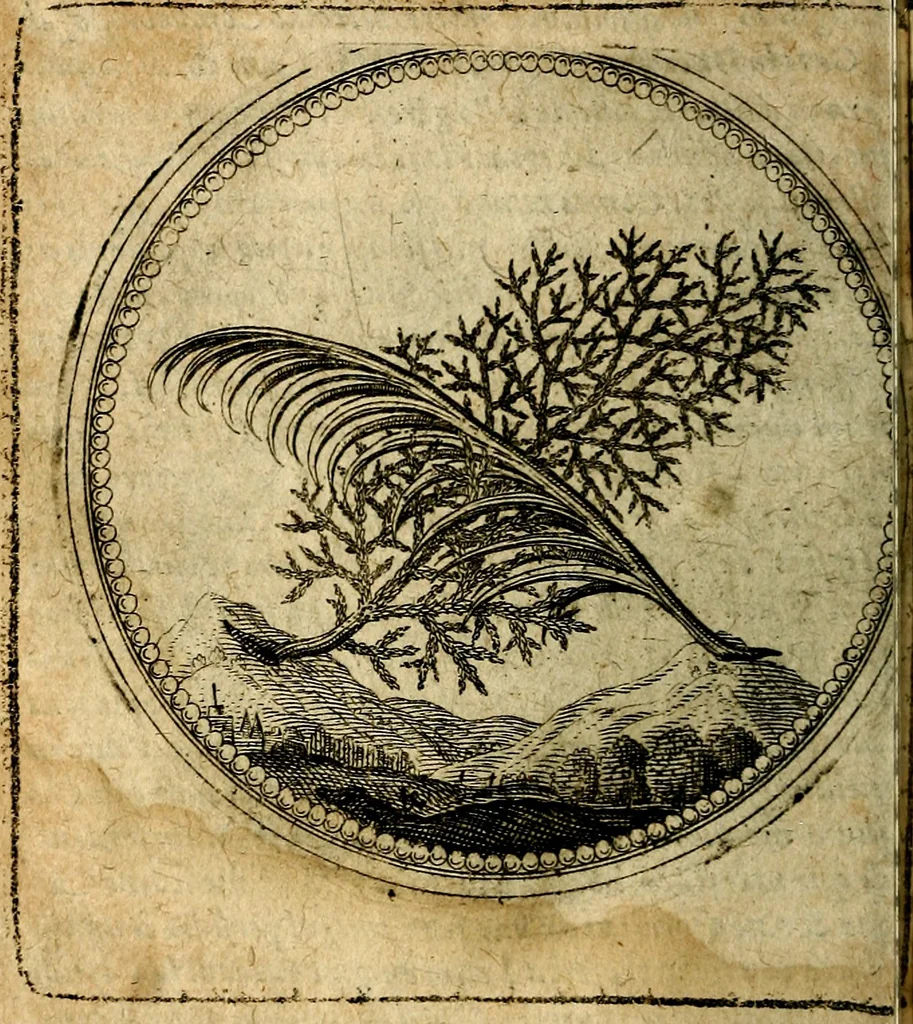 An illustration from Joachimi Camerarii Symbolorum et emblematum, centuriae quatuor .., 1668, leaf 57