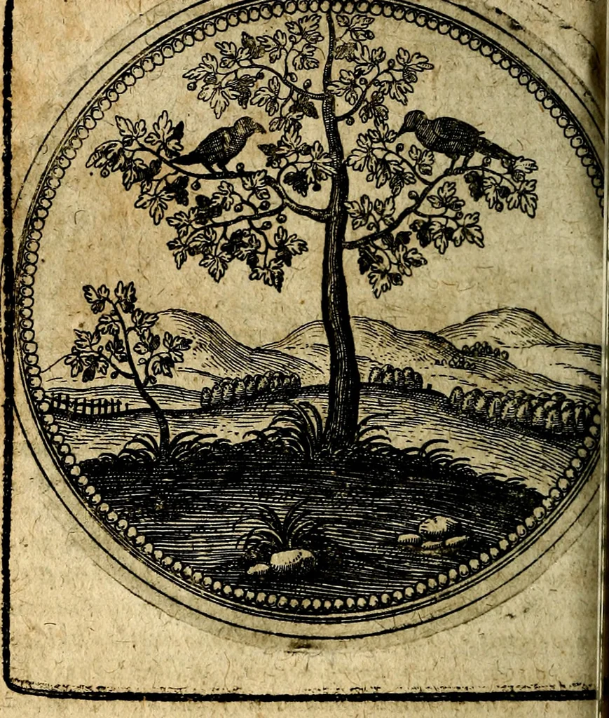 An illustration from Joachimi Camerarii Symbolorum et emblematum, centuriae quatuor .., 1668, leaf 577
