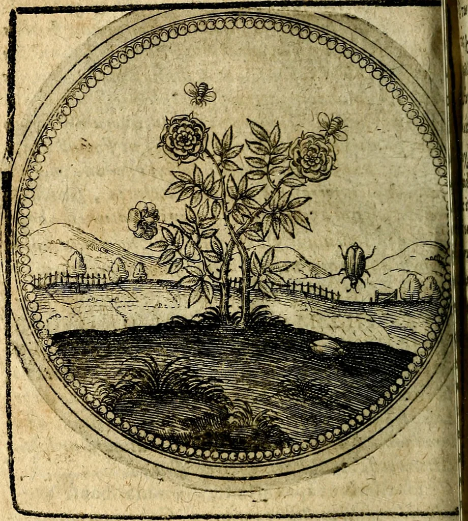 An illustration from Joachimi Camerarii Symbolorum et emblematum, centuriae quatuor .., 1668, leaf 601