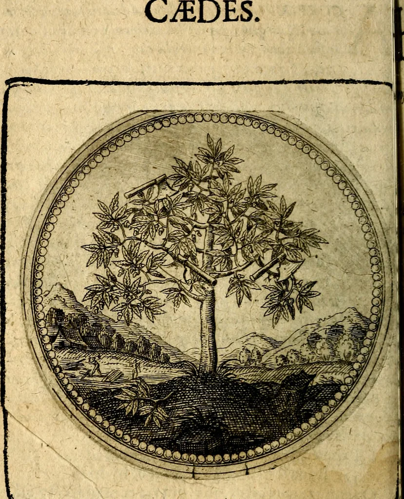 An illustration from Joachimi Camerarii Symbolorum et emblematum, centuriae quatuor .., 1668, leaf 61