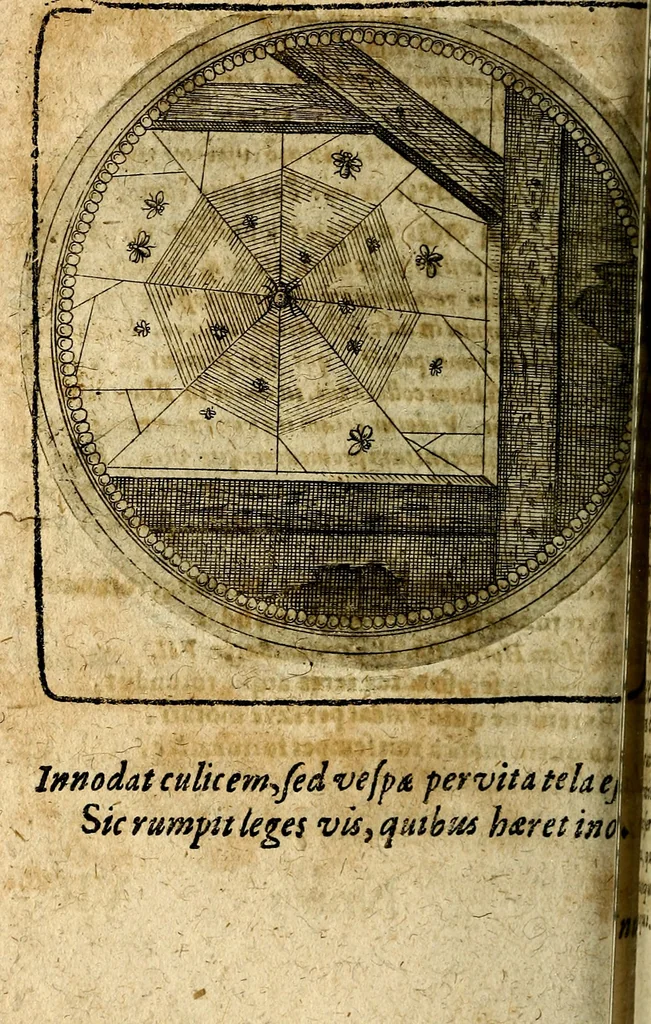 An illustration from Joachimi Camerarii Symbolorum et emblematum, centuriae quatuor .., 1668, leaf 615