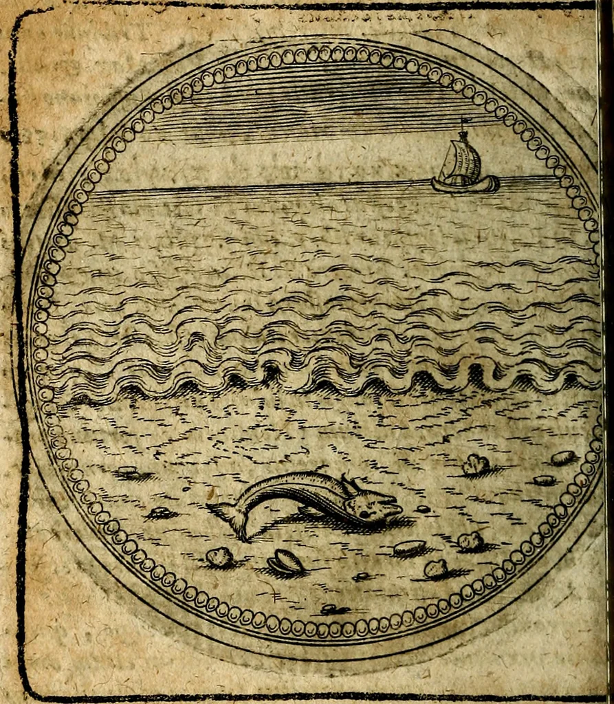 An illustration from Joachimi Camerarii Symbolorum et emblematum, centuriae quatuor .., 1668, leaf 645