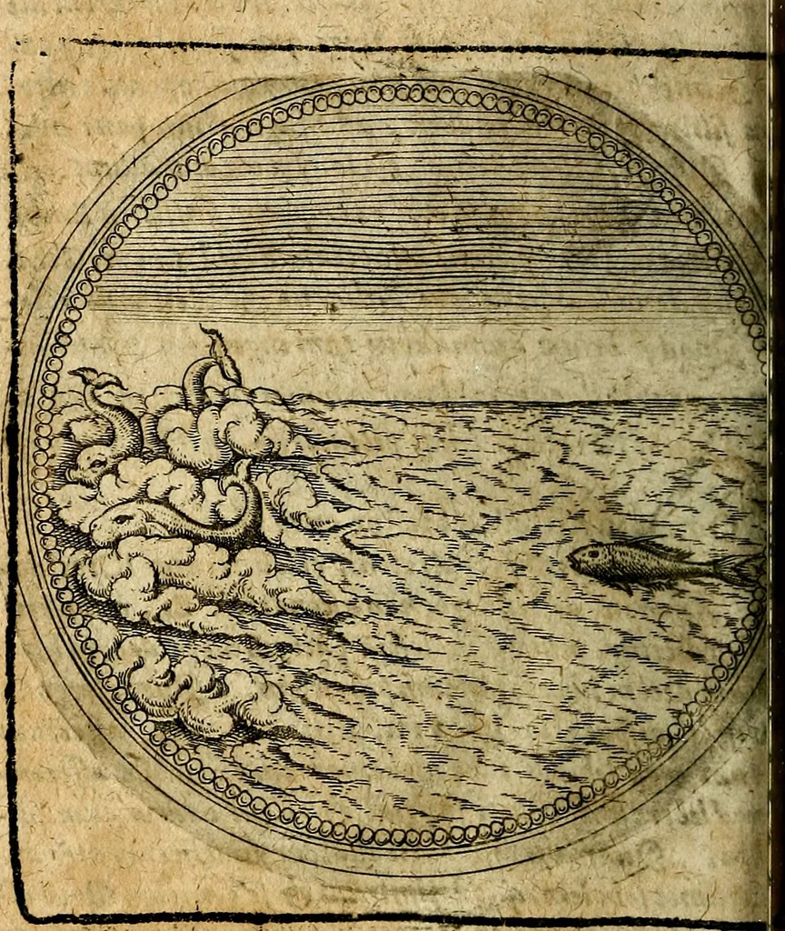 An illustration from Joachimi Camerarii Symbolorum et emblematum, centuriae quatuor .., 1668, leaf 649