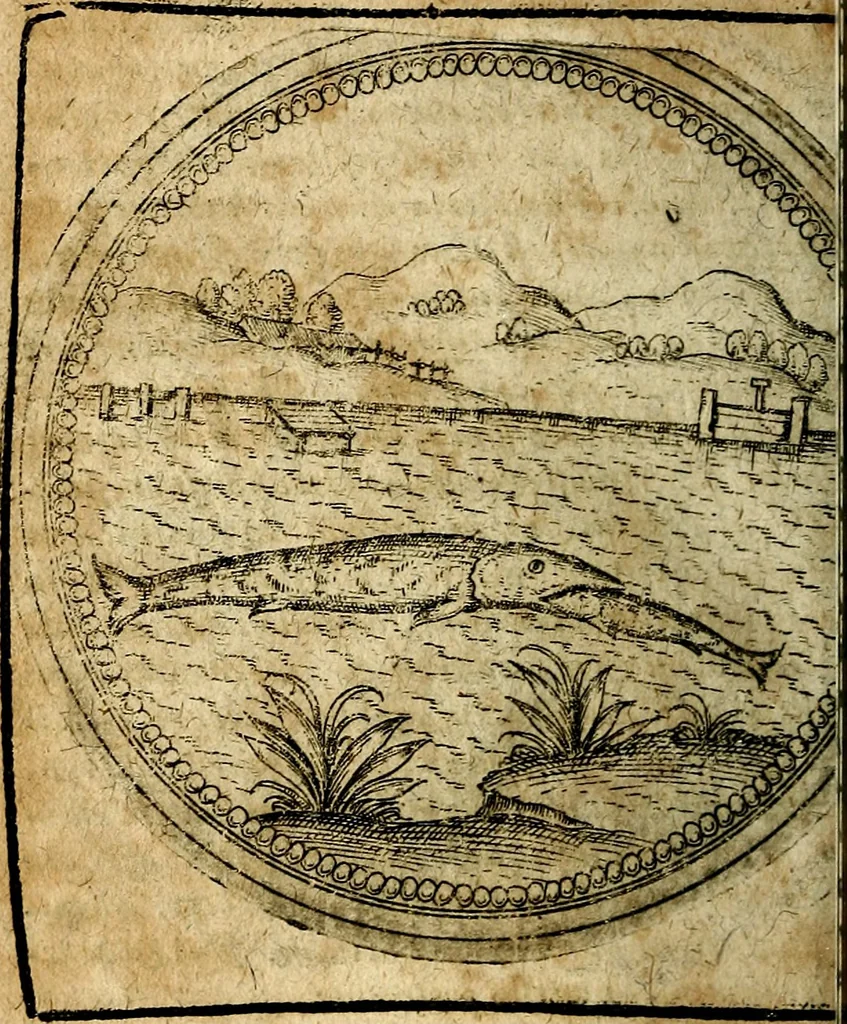 An illustration from Joachimi Camerarii Symbolorum et emblematum, centuriae quatuor .., 1668, leaf 671