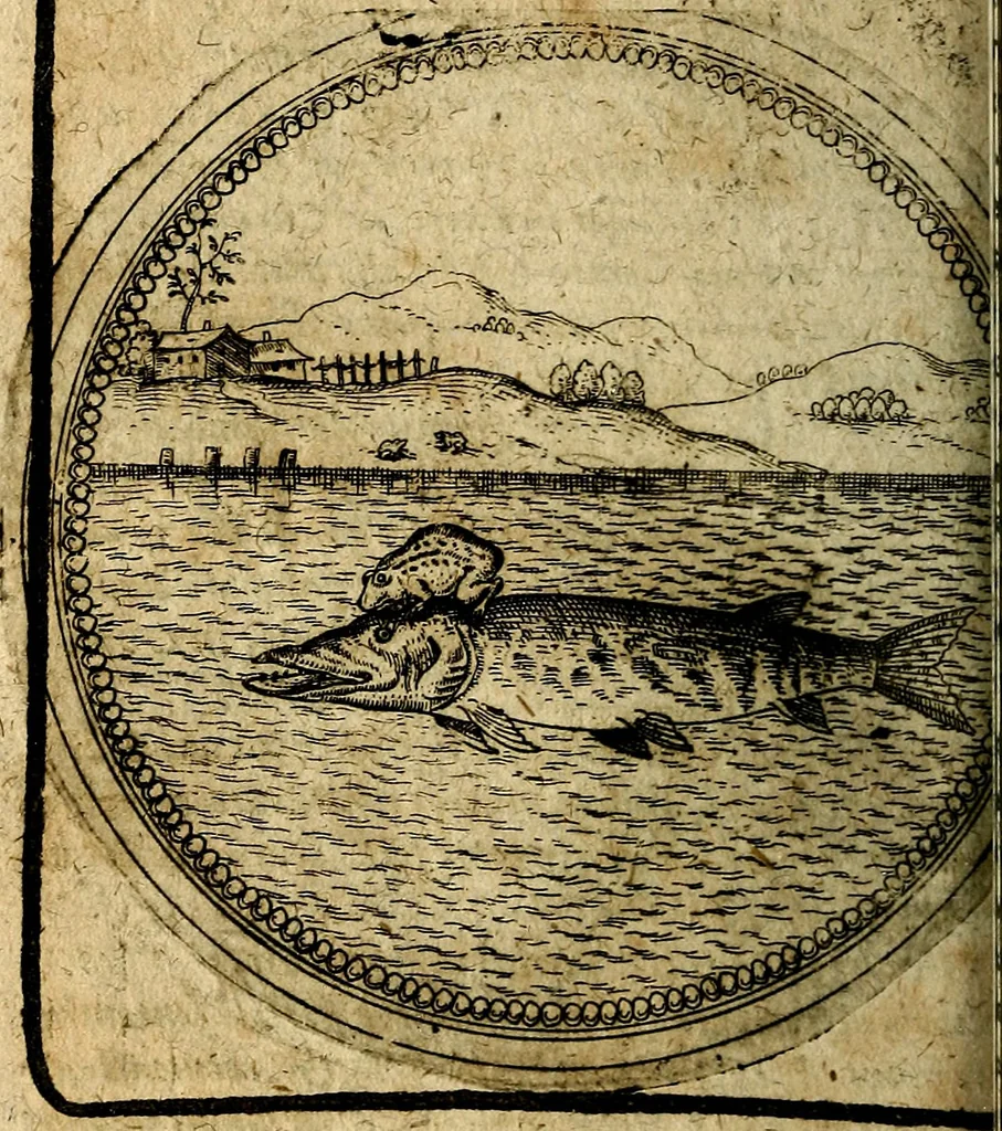 An illustration from Joachimi Camerarii Symbolorum et emblematum, centuriae quatuor .., 1668, leaf 673