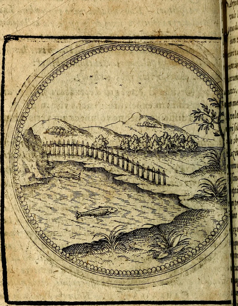 An illustration from Joachimi Camerarii Symbolorum et emblematum, centuriae quatuor .., 1668, leaf 679
