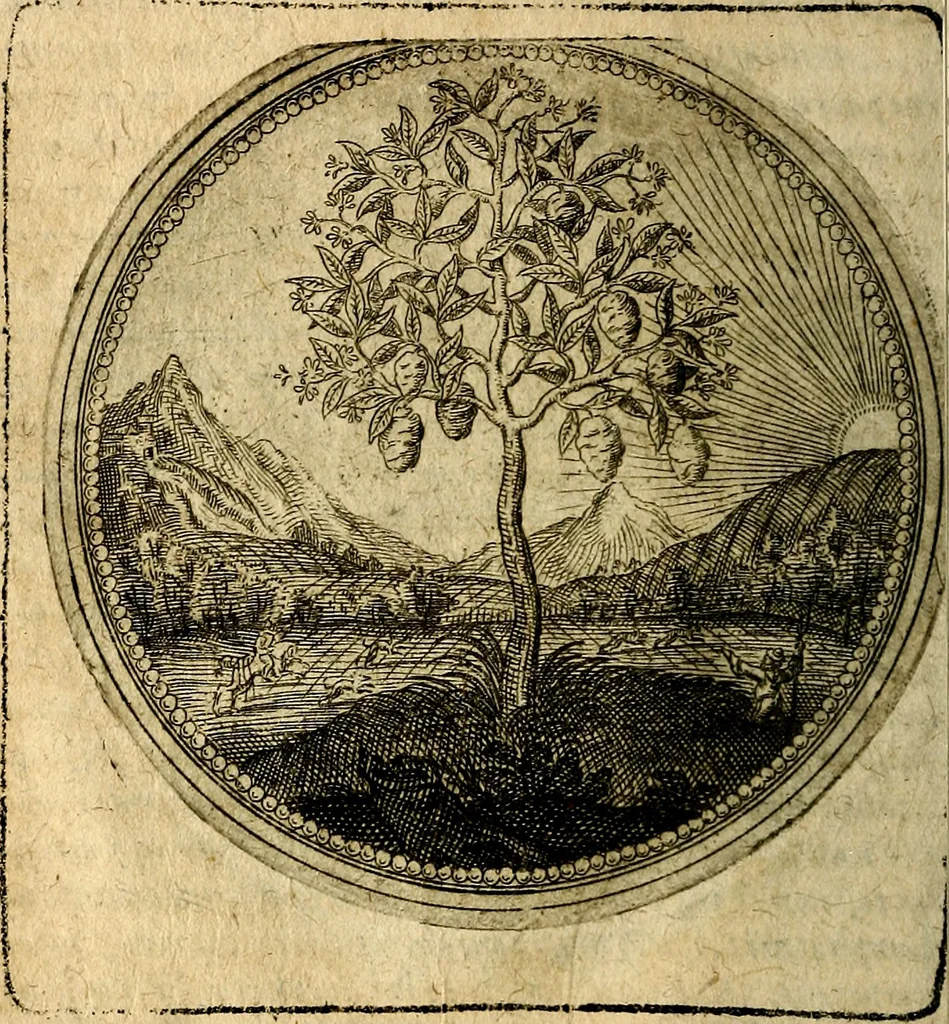 An illustration from Joachimi Camerarii Symbolorum et emblematum, centuriae quatuor .., 1668, leaf 69