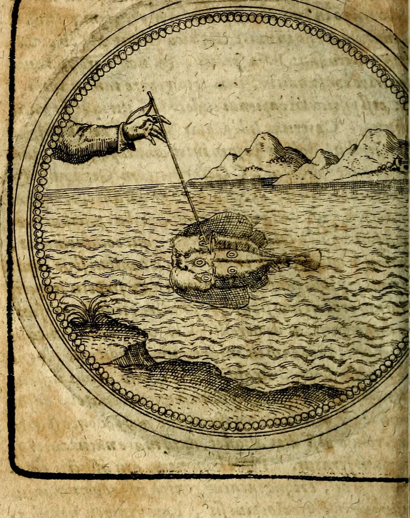 An illustration from Joachimi Camerarii Symbolorum et emblematum, centuriae quatuor .., 1668, leaf 703