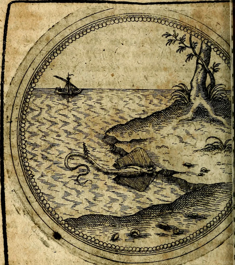 An illustration from Joachimi Camerarii Symbolorum et emblematum, centuriae quatuor .., 1668, leaf 705