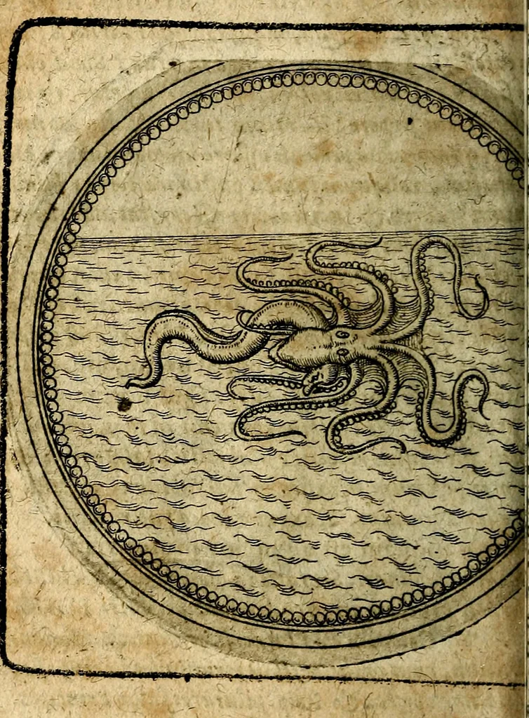 An illustration from Joachimi Camerarii Symbolorum et emblematum, centuriae quatuor .., 1668, leaf 709
