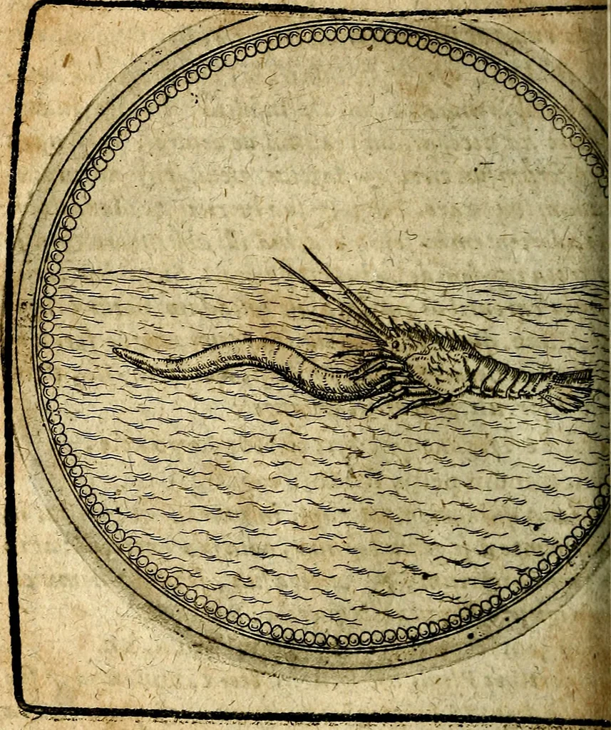 An illustration from Joachimi Camerarii Symbolorum et emblematum, centuriae quatuor .., 1668, leaf 711