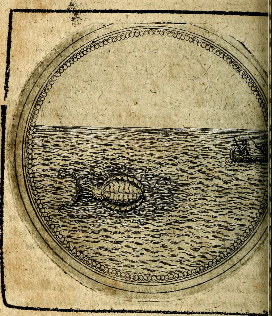 An illustration from Joachimi Camerarii Symbolorum et emblematum, centuriae quatuor .., 1668, leaf 717
