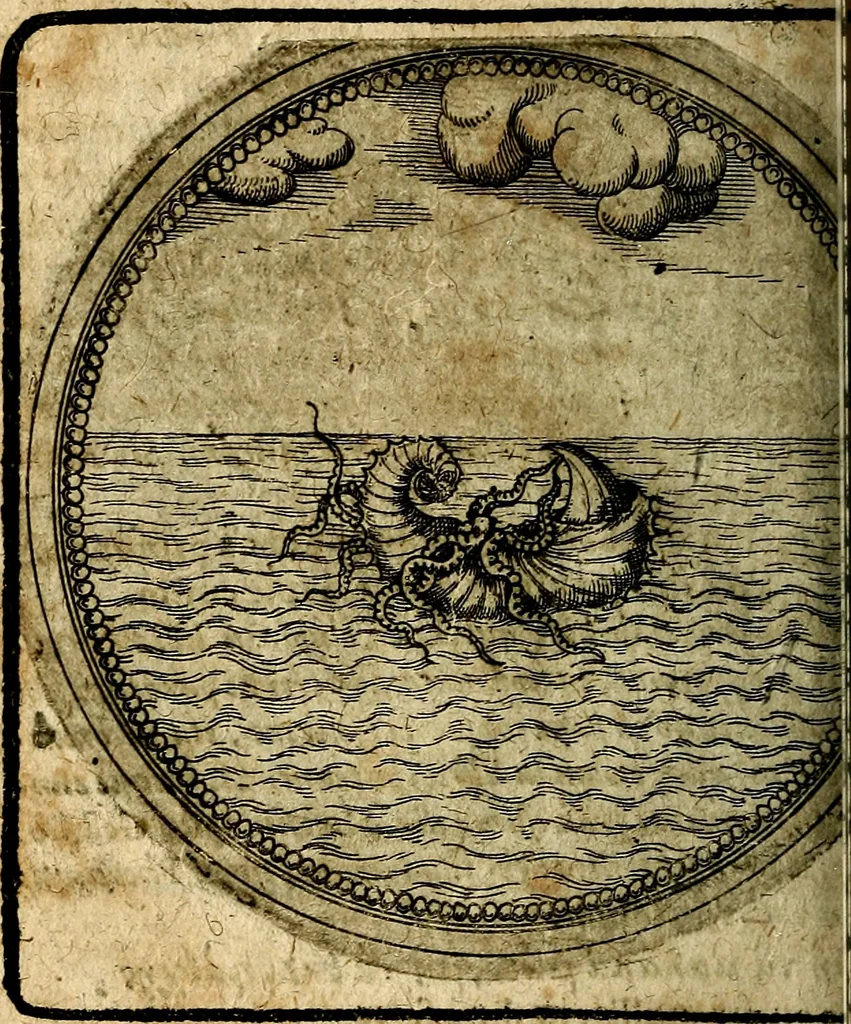 An illustration from Joachimi Camerarii Symbolorum et emblematum, centuriae quatuor .., 1668, leaf 721