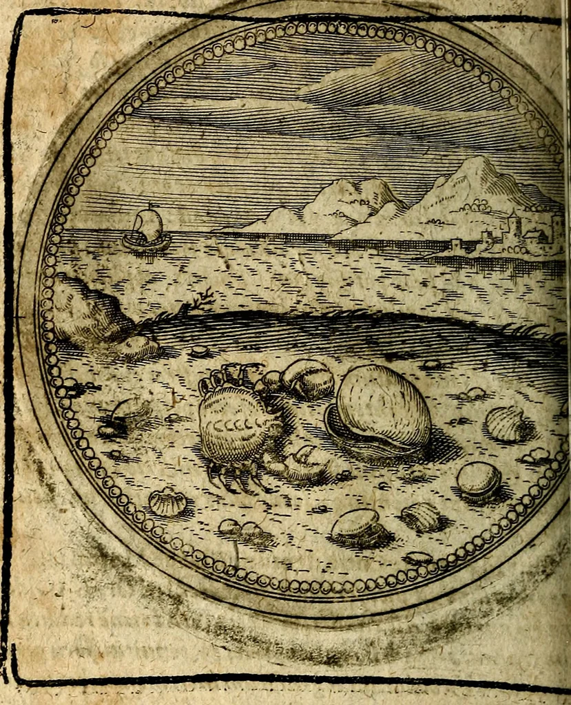 An illustration from Joachimi Camerarii Symbolorum et emblematum, centuriae quatuor .., 1668, leaf 727