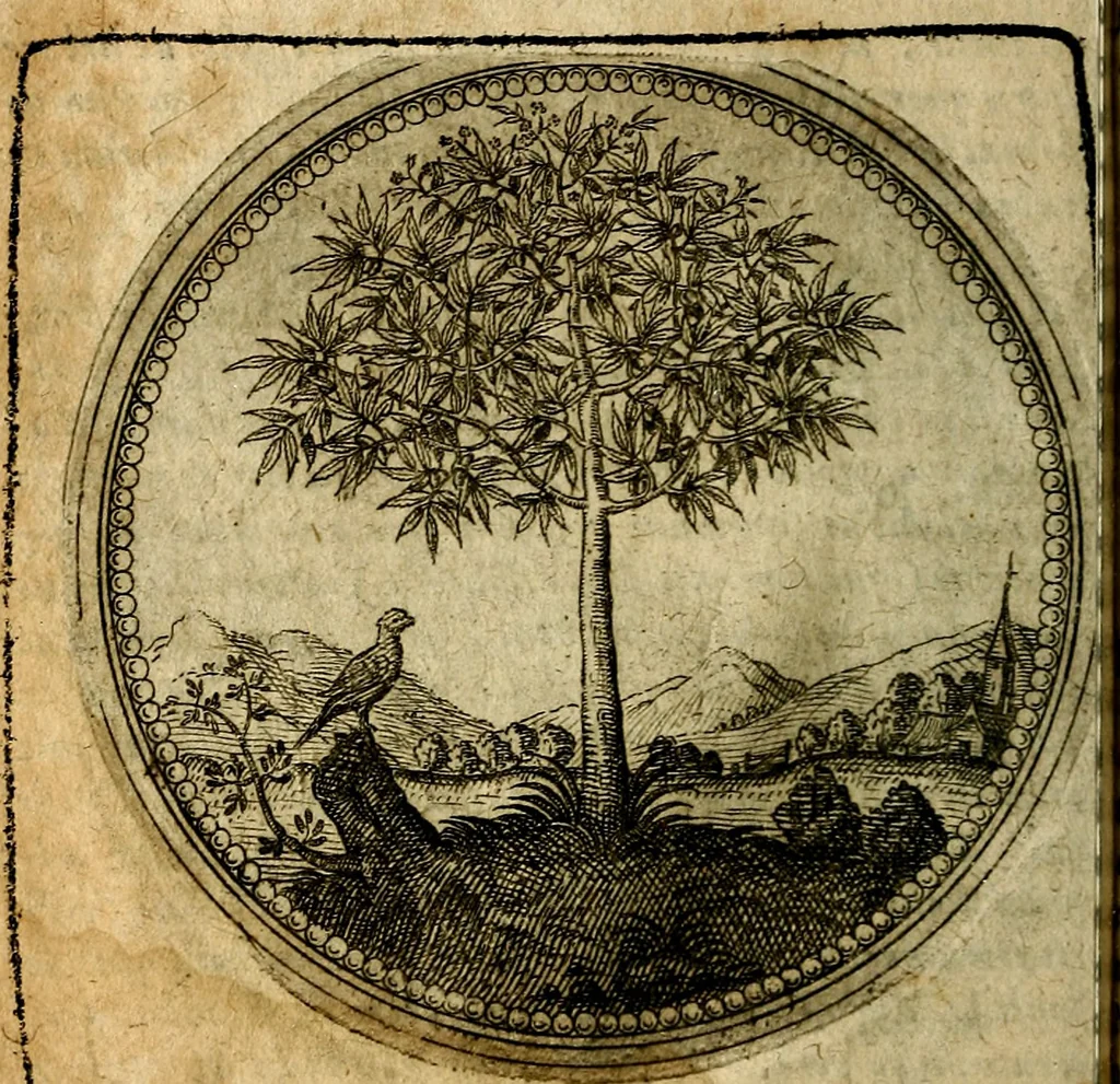 An illustration from Joachimi Camerarii Symbolorum et emblematum, centuriae quatuor .., 1668, leaf 73