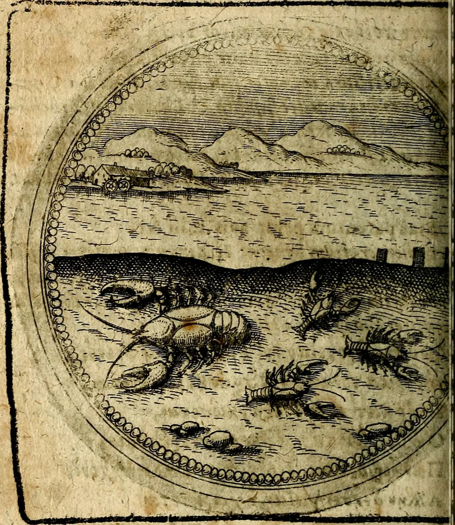 An illustration from Joachimi Camerarii Symbolorum et emblematum, centuriae quatuor .., 1668, leaf 733