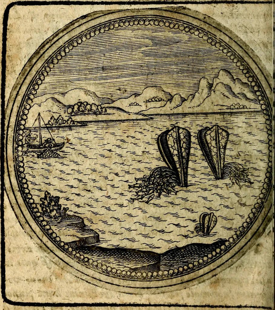 An illustration from Joachimi Camerarii Symbolorum et emblematum, centuriae quatuor .., 1668, leaf 739