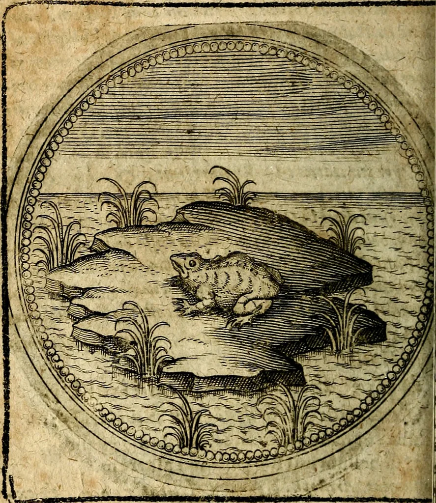 An illustration from Joachimi Camerarii Symbolorum et emblematum, centuriae quatuor .., 1668, leaf 765