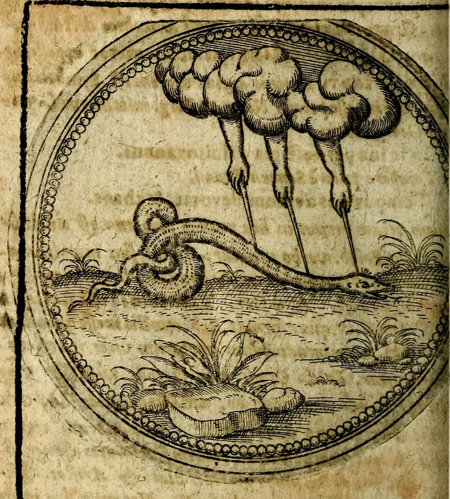 An illustration from Joachimi Camerarii Symbolorum et emblematum, centuriae quatuor .., 1668, leaf 791