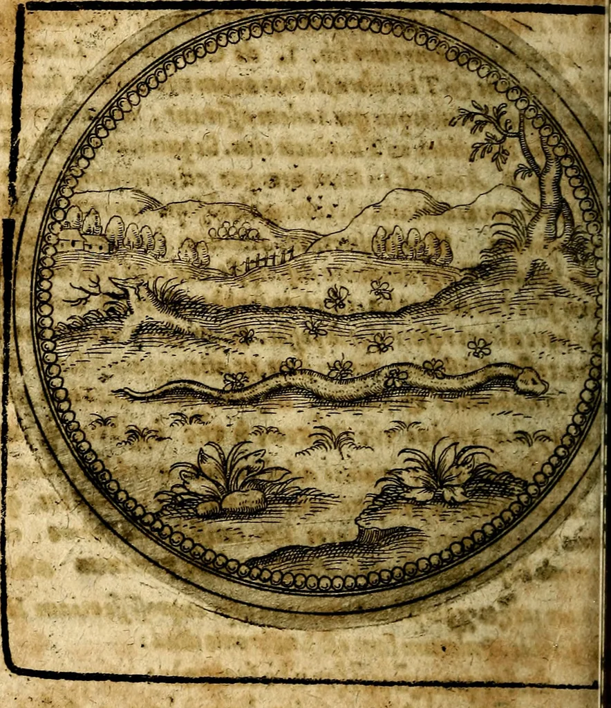An illustration from Joachimi Camerarii Symbolorum et emblematum, centuriae quatuor .., 1668, leaf 811