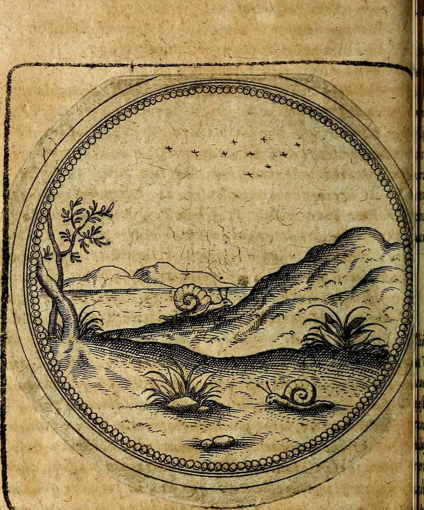 An illustration from Joachimi Camerarii Symbolorum et emblematum, centuriae quatuor .., 1668, leaf 821
