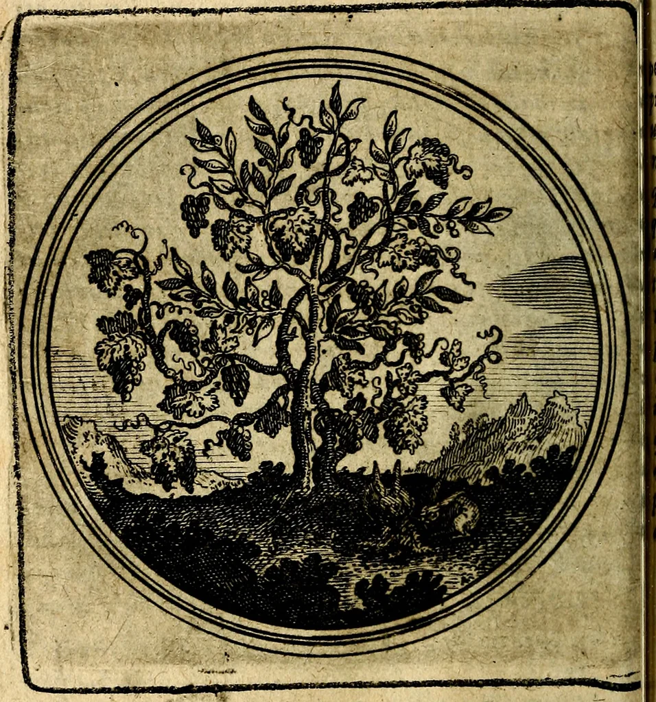 An illustration from Joachimi Camerarii Symbolorum et emblematum, centuriae quatuor .., 1668, leaf 85