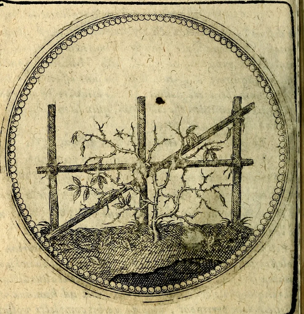 An illustration from Joachimi Camerarii Symbolorum et emblematum, centuriae quatuor .., 1668, leaf 95