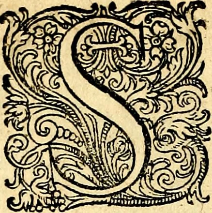 An illustration from Joachimi Camerarii Symbolorvm et emblematvm centvriæ tres. I. Ex herbis & stirpibus. II. Ex animalibus quadrupedibus. III. Ex volatilibus & insectis. Accessit noviter centvria IV. Ex aquatilibus & reptilibus. Cvm figvris æneis, 1605, leaf 101