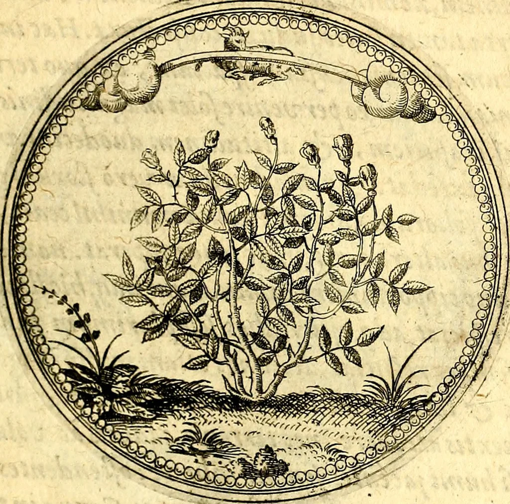An illustration from Joachimi Camerarii Symbolorvm et emblematvm centvriæ tres. I. Ex herbis & stirpibus. II. Ex animalibus quadrupedibus. III. Ex volatilibus & insectis. Accessit noviter centvria IV. Ex aquatilibus & reptilibus. Cvm figvris æneis, 1605, leaf 102