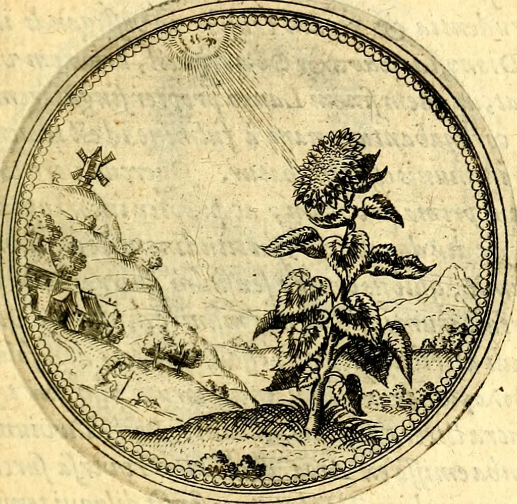 An illustration from Joachimi Camerarii Symbolorvm et emblematvm centvriæ tres. I. Ex herbis & stirpibus. II. Ex animalibus quadrupedibus. III. Ex volatilibus & insectis. Accessit noviter centvria IV. Ex aquatilibus & reptilibus. Cvm figvris æneis, 1605, leaf 104