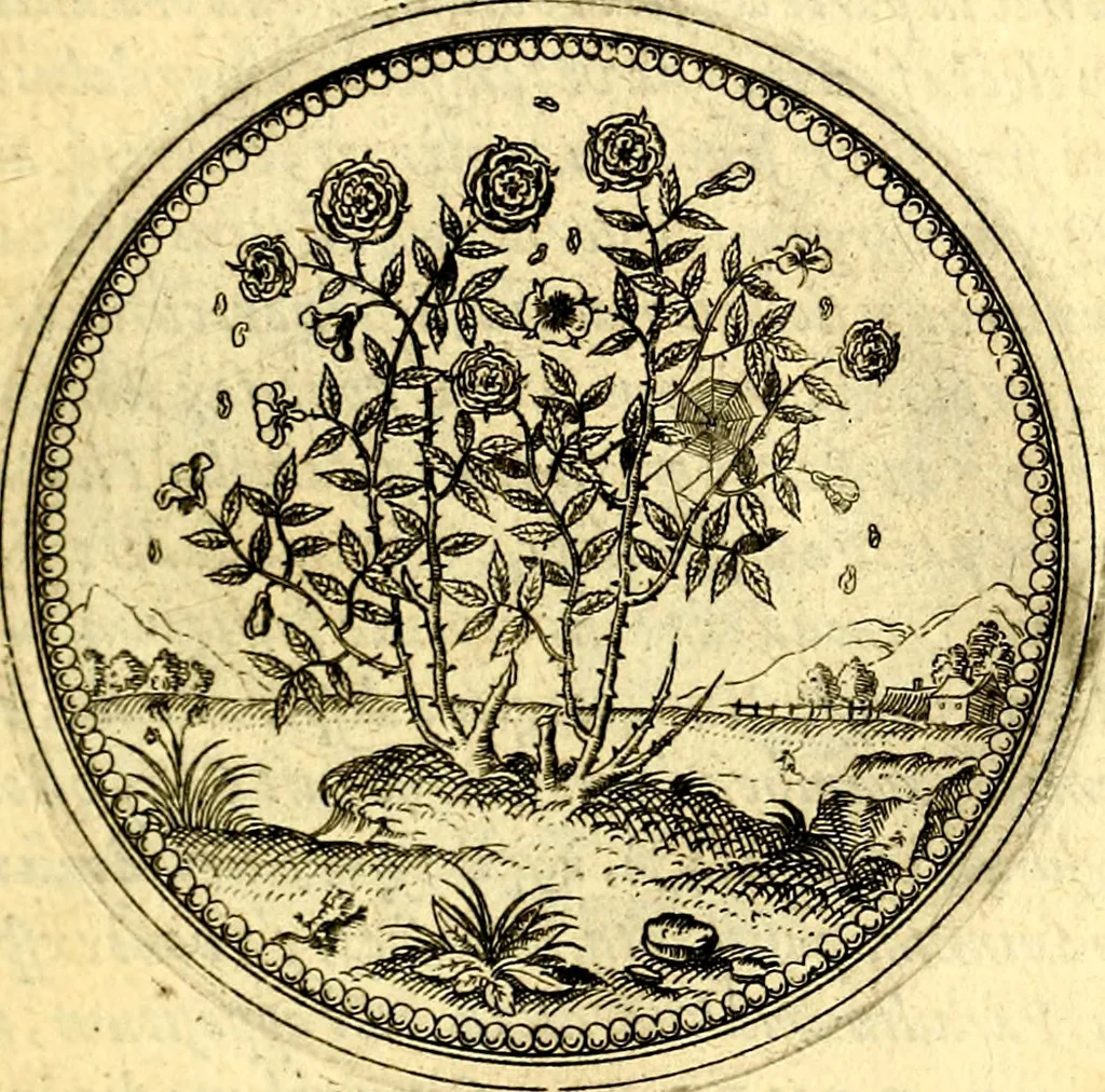 An illustration from Joachimi Camerarii Symbolorvm et emblematvm centvriæ tres. I. Ex herbis & stirpibus. II. Ex animalibus quadrupedibus. III. Ex volatilibus & insectis. Accessit noviter centvria IV. Ex aquatilibus & reptilibus. Cvm figvris æneis, 1605, leaf 108