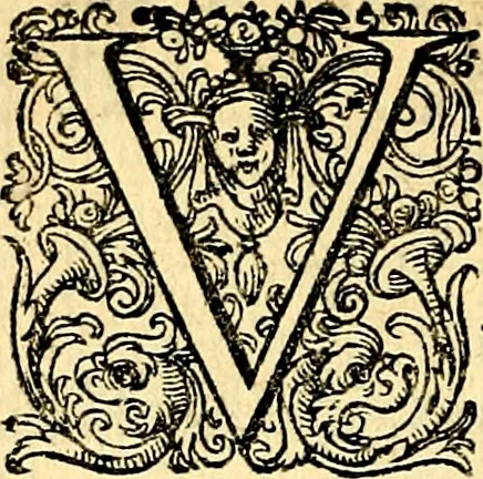 An illustration from Joachimi Camerarii Symbolorvm et emblematvm centvriæ tres. I. Ex herbis & stirpibus. II. Ex animalibus quadrupedibus. III. Ex volatilibus & insectis. Accessit noviter centvria IV. Ex aquatilibus & reptilibus. Cvm figvris æneis, 1605, leaf 109